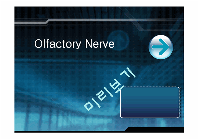 [의학][뇌신경] 후신경[Olfactory Nerve]에 관해   (1 )